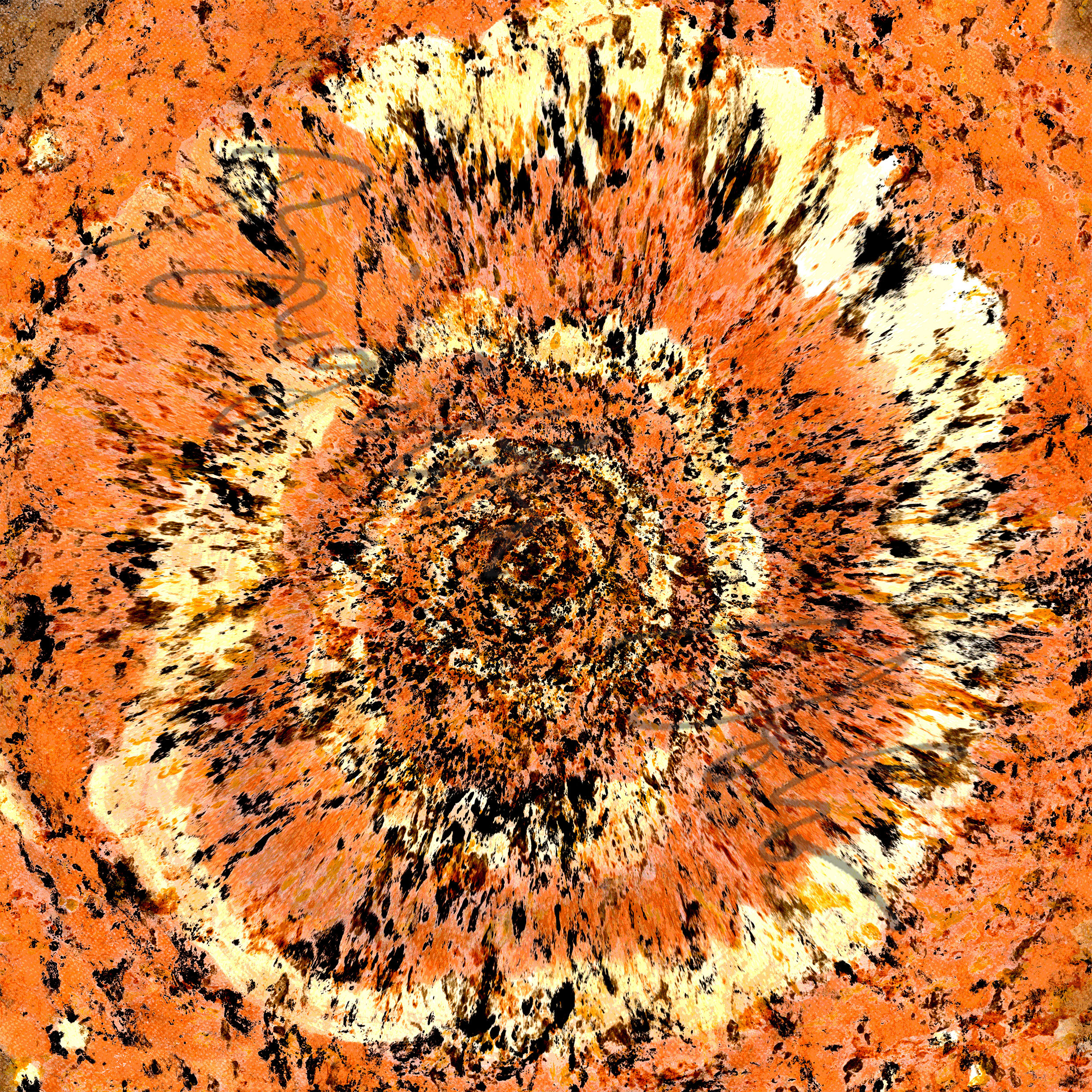 Auroville Earth Galaxy, 2022, 97 x 97 cm, bark print on rice paper, digitally modified