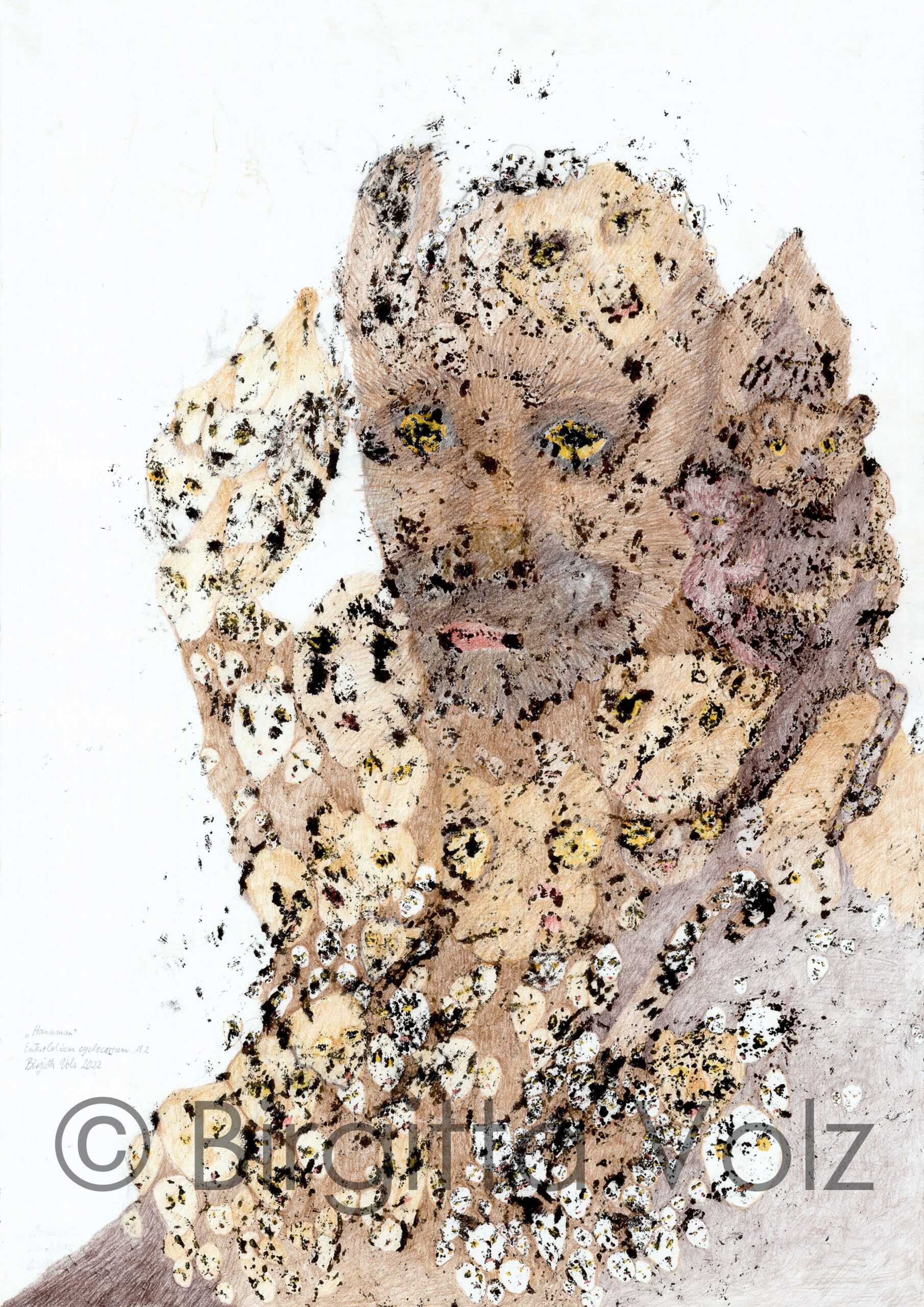 Hanuman, 2022, 100 x 70 cm, bark print on rice paper, then worked out with colour pencils