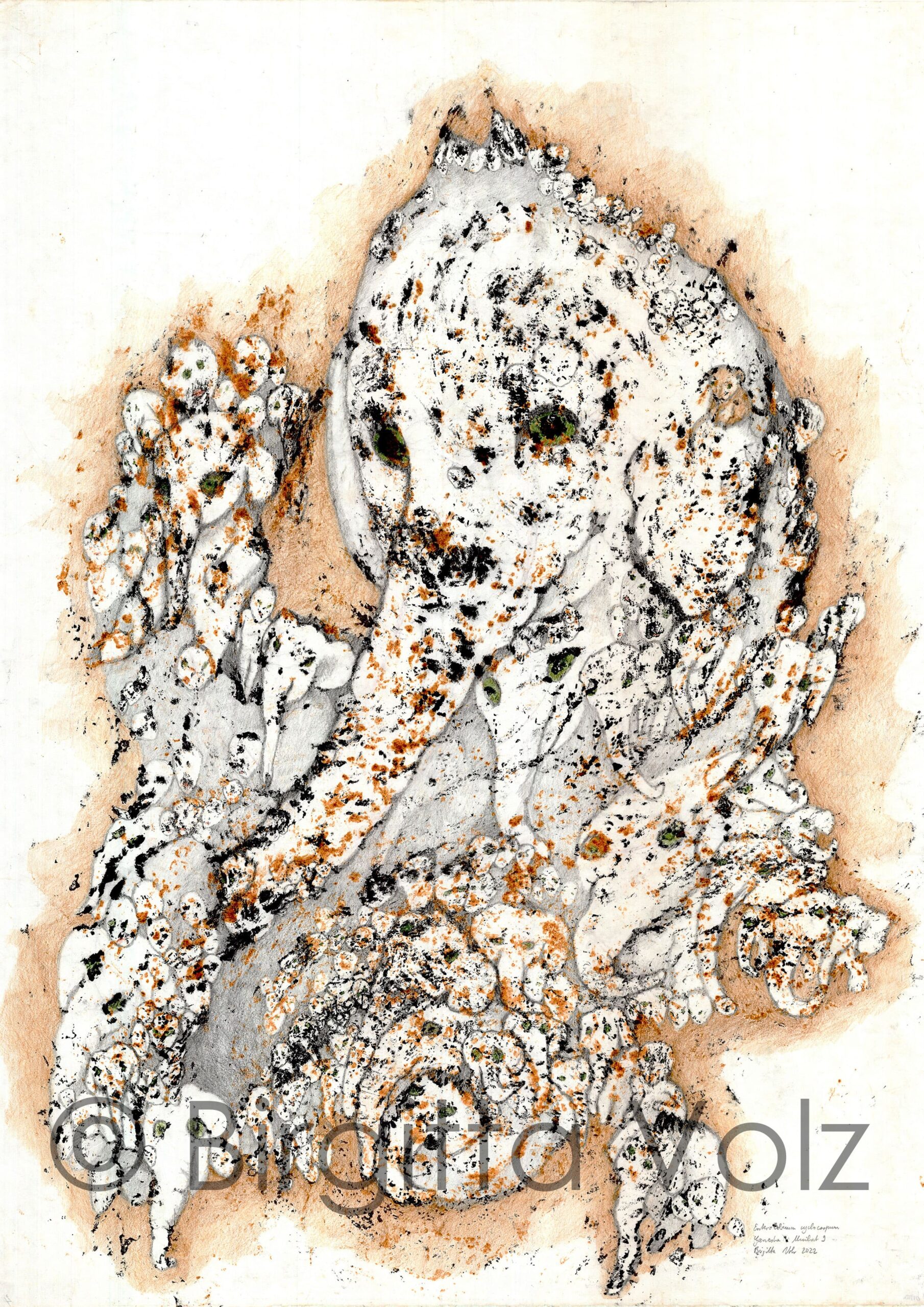 Multiple Ganesha, 2022, 119 x 84 cm, bark print on Japanese paper, then worked out with colour pencils