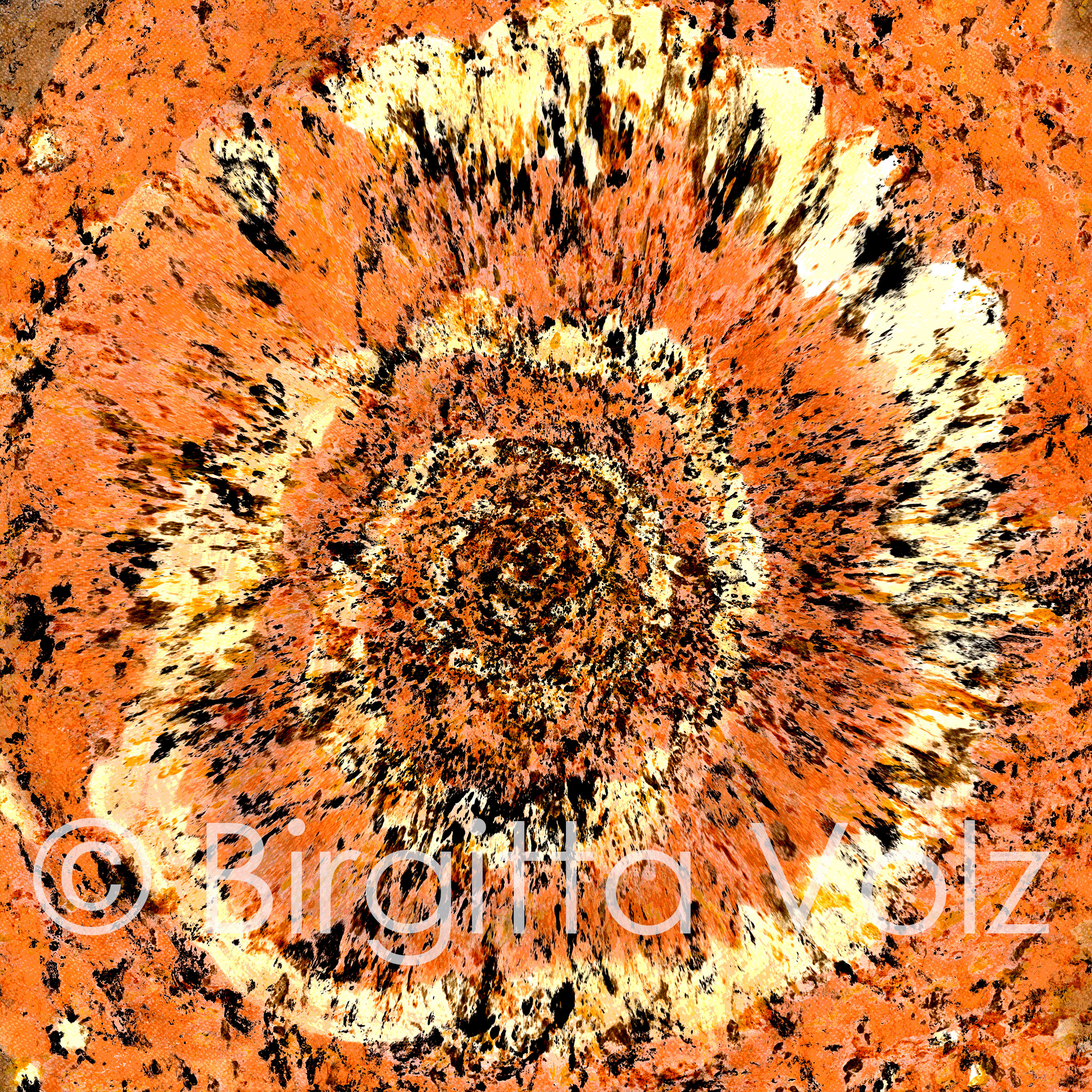 Auroville Earth Galaxy, 2022, 97 x 97 cm, bark print on rice paper, digitally modified